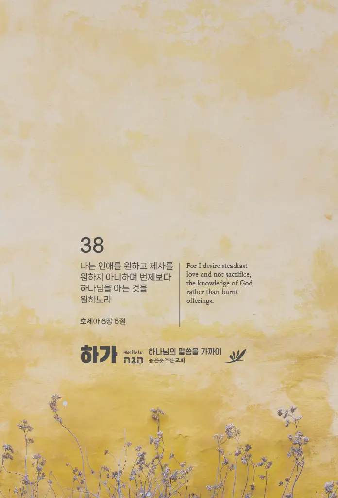 하가 이미지